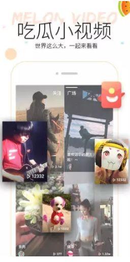 吃瓜1元视频,吃瓜界的秘密大公开