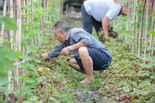 北湖新区吃瓜事件视频最新,视频揭露惊人真相，网友热议不断
