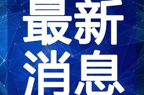 金乡最新吃瓜事件视频,视频揭秘惊人真相！