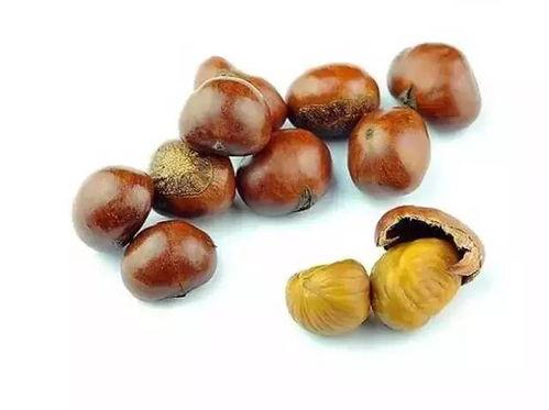 板栗小瓜怎么吃最好吃视频,视频教你家常新吃法