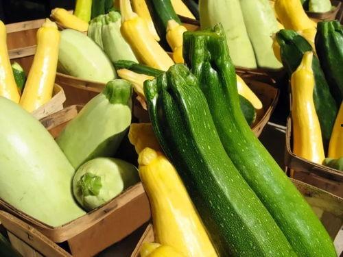 东方学院吃瓜视频