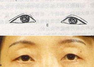 吃瓜娃娃面相图解视频大全,揭秘面相中的趣味与智慧