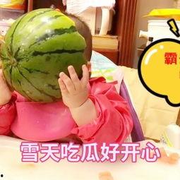 吃瓜玩具的视频,趣味互动，寓教于乐新体验