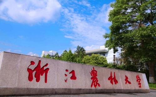 浙江农林大学吃瓜视频,揭秘校园生活趣味瞬间