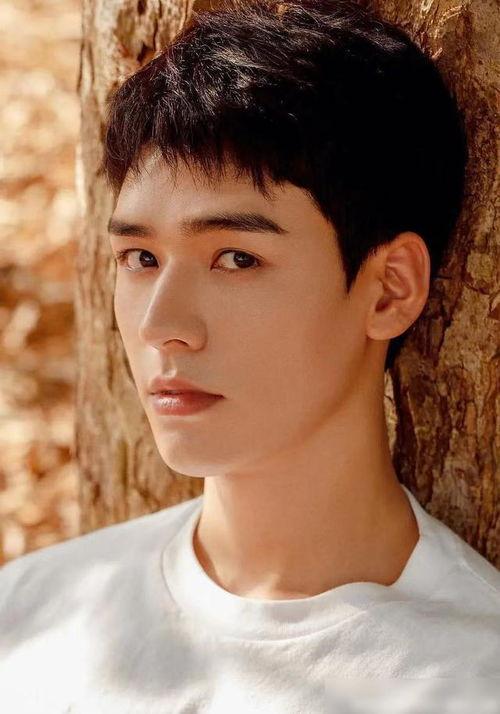 深夜吃瓜龚俊视频,揭秘明星幕后故事