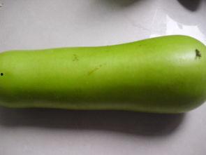 葫芦瓜吃鸡视频,趣味横生的游戏直播盛宴