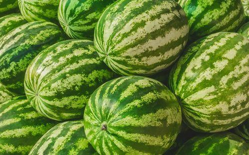 呈贡吃瓜视频公司在哪里,探寻网红产业的秘密基地”