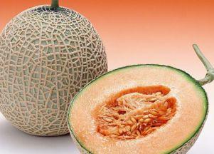 猿猴吃哈密瓜视频播放,哈密瓜盛宴视频播放引网友热议