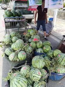 西昌十八渡吃瓜事件视频