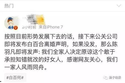 反转吃瓜群众的视频下载,视频背后的下载秘密