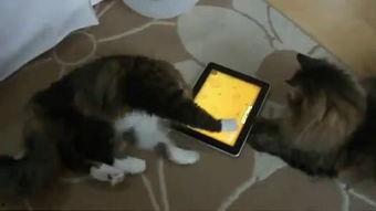 边吃瓜边看戏搞笑视频,解锁欢乐搞笑视频新境界