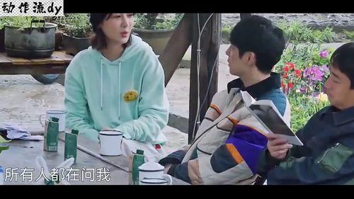 黄磊绯闻吃瓜视频全集