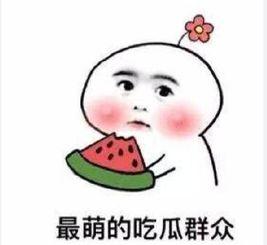 你怎么看吃瓜群众视频呢,揭秘网络围观现象背后的心理与社会效应