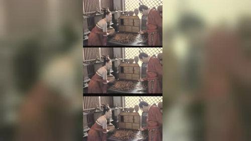 吃瓜被猫吃了女孩视频,女孩吃瓜被猫误食，视频曝光引网友热议