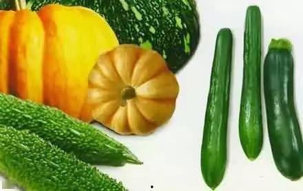 老九八吃瓜视频,带你领略娱乐圈幕后风云