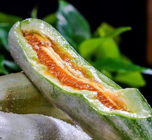 吃斑纹最好的瓜视频