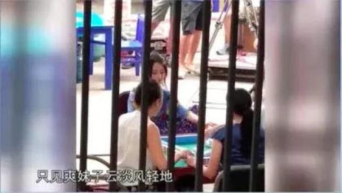 吃瓜韩婧格打牌视频,吃瓜群众围观打牌视频