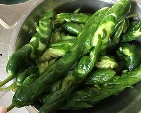 螺丝吃瓜的视频